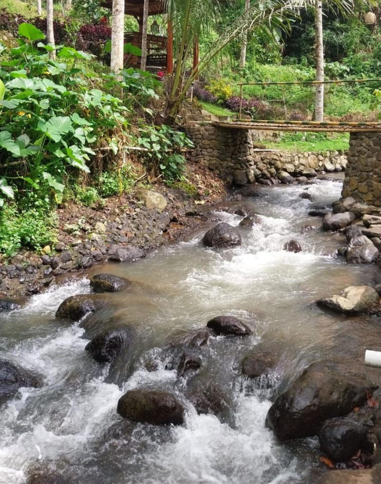 Kampoeng Joglo Ijen Villa Banyuwangi  Eksteriør billede