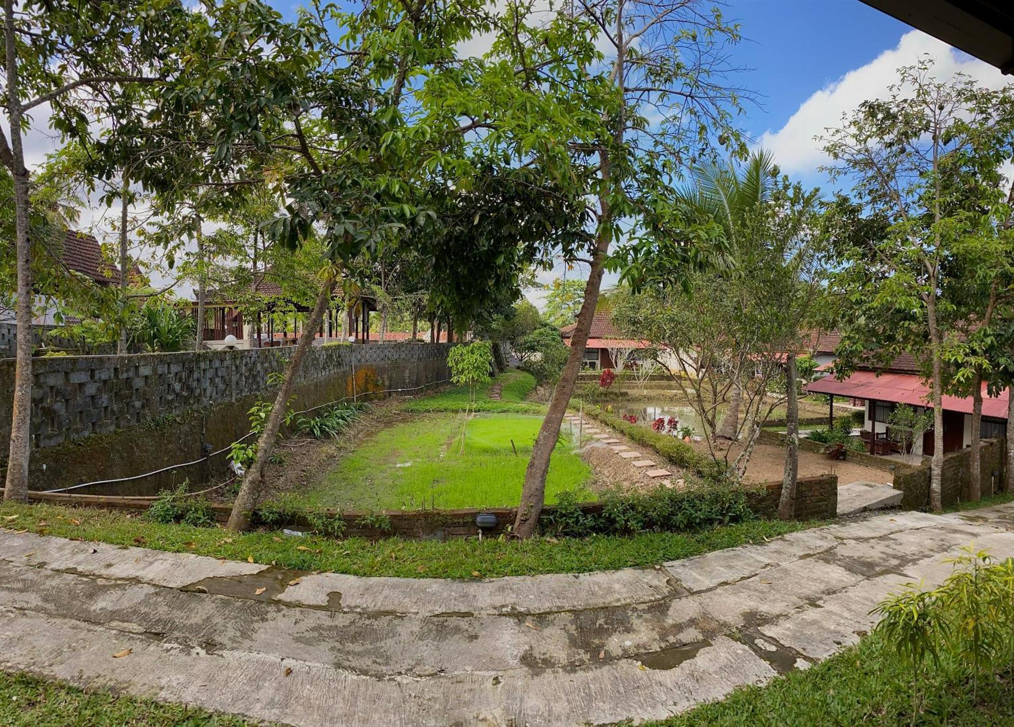 Kampoeng Joglo Ijen Villa Banyuwangi  Eksteriør billede
