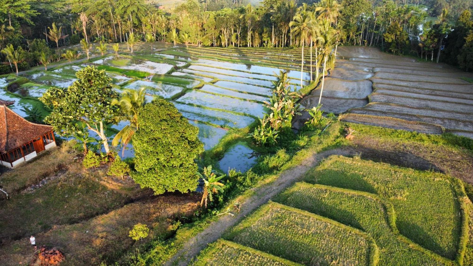 Kampoeng Joglo Ijen Villa Banyuwangi  Eksteriør billede