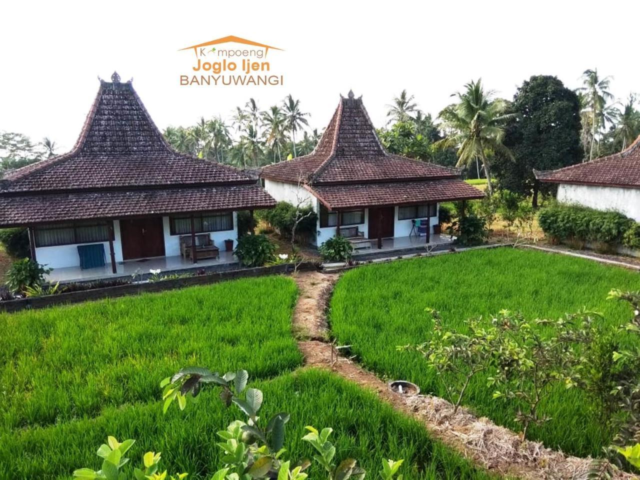 Kampoeng Joglo Ijen Villa Banyuwangi  Eksteriør billede